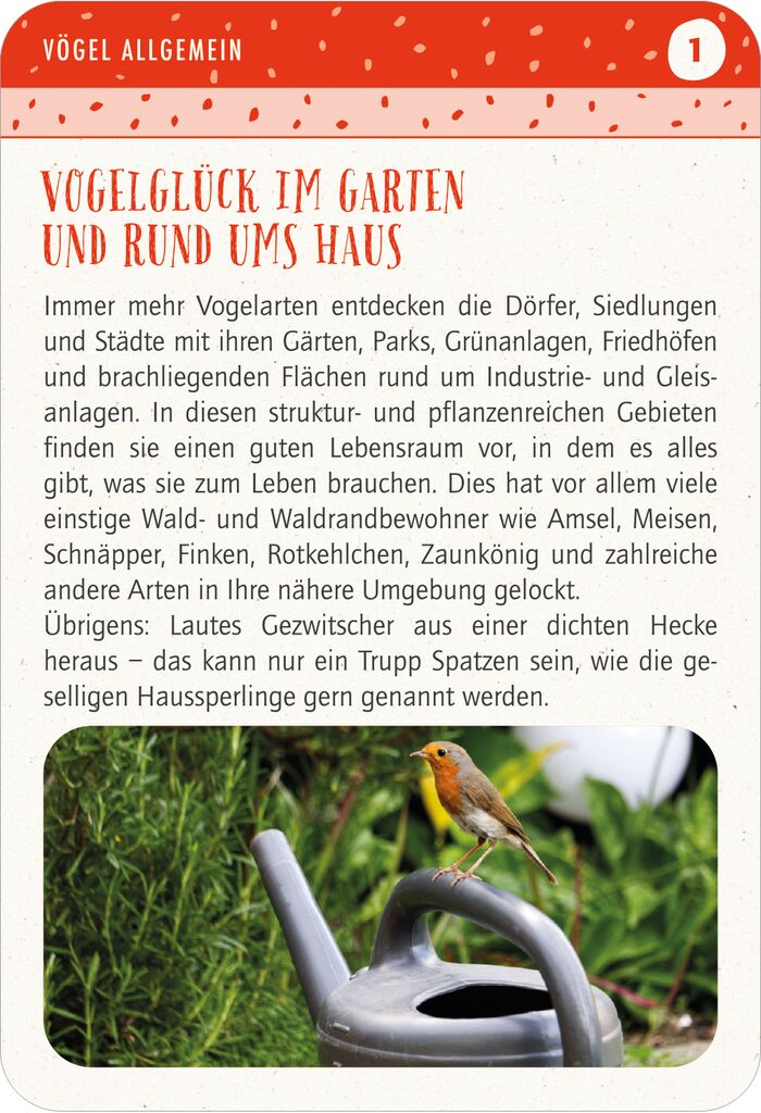 Blatt & Blüte Vogelglück Kartenset