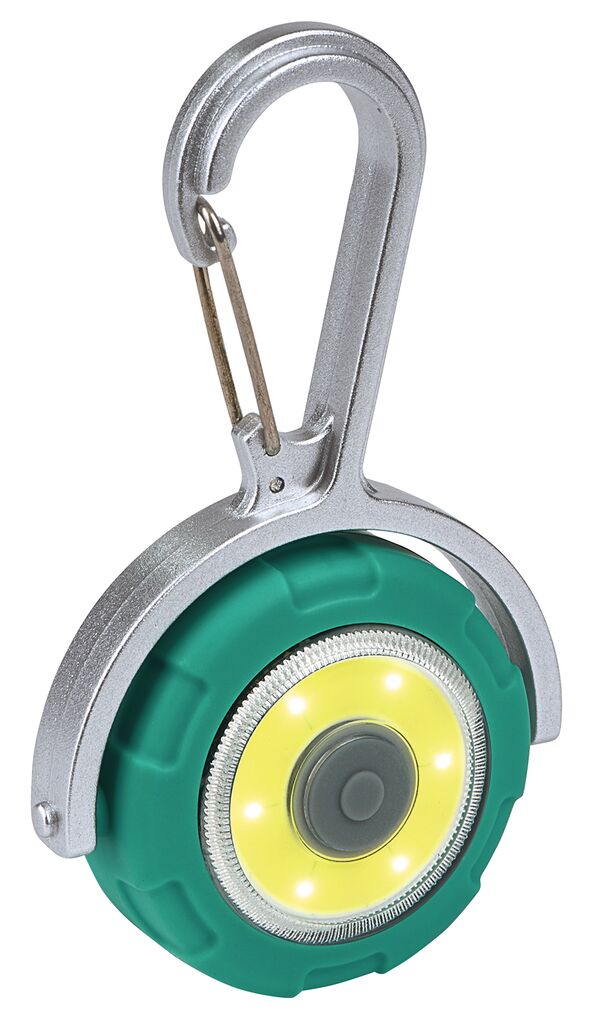 Fernweh LED Clip-Licht  grün