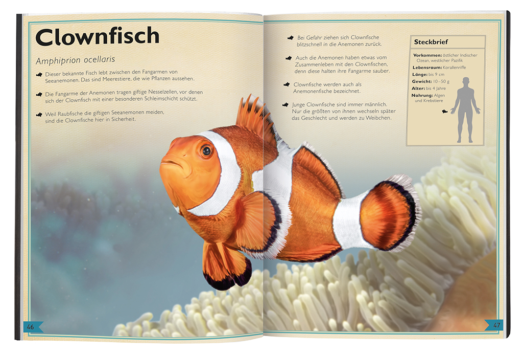 Das Riesenbuch der Meerestiere Das Riesenbuch der Meerestiere