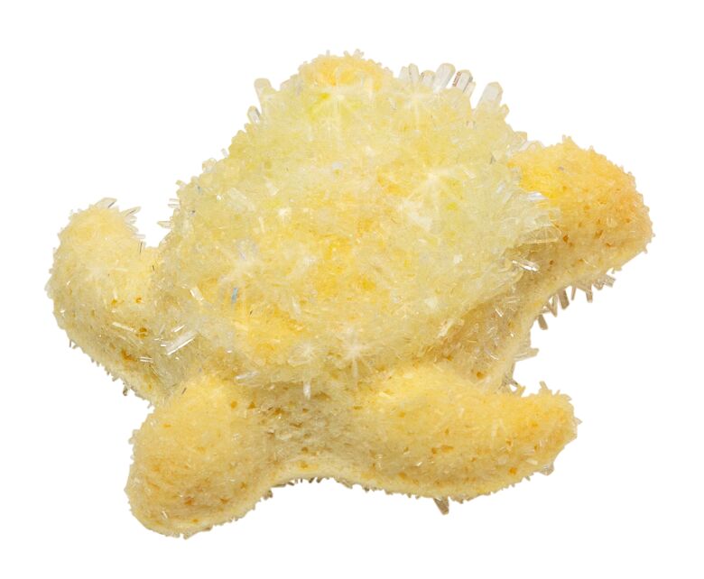 PhänoMINT Funkelnde Kristalltiere züchten gelb