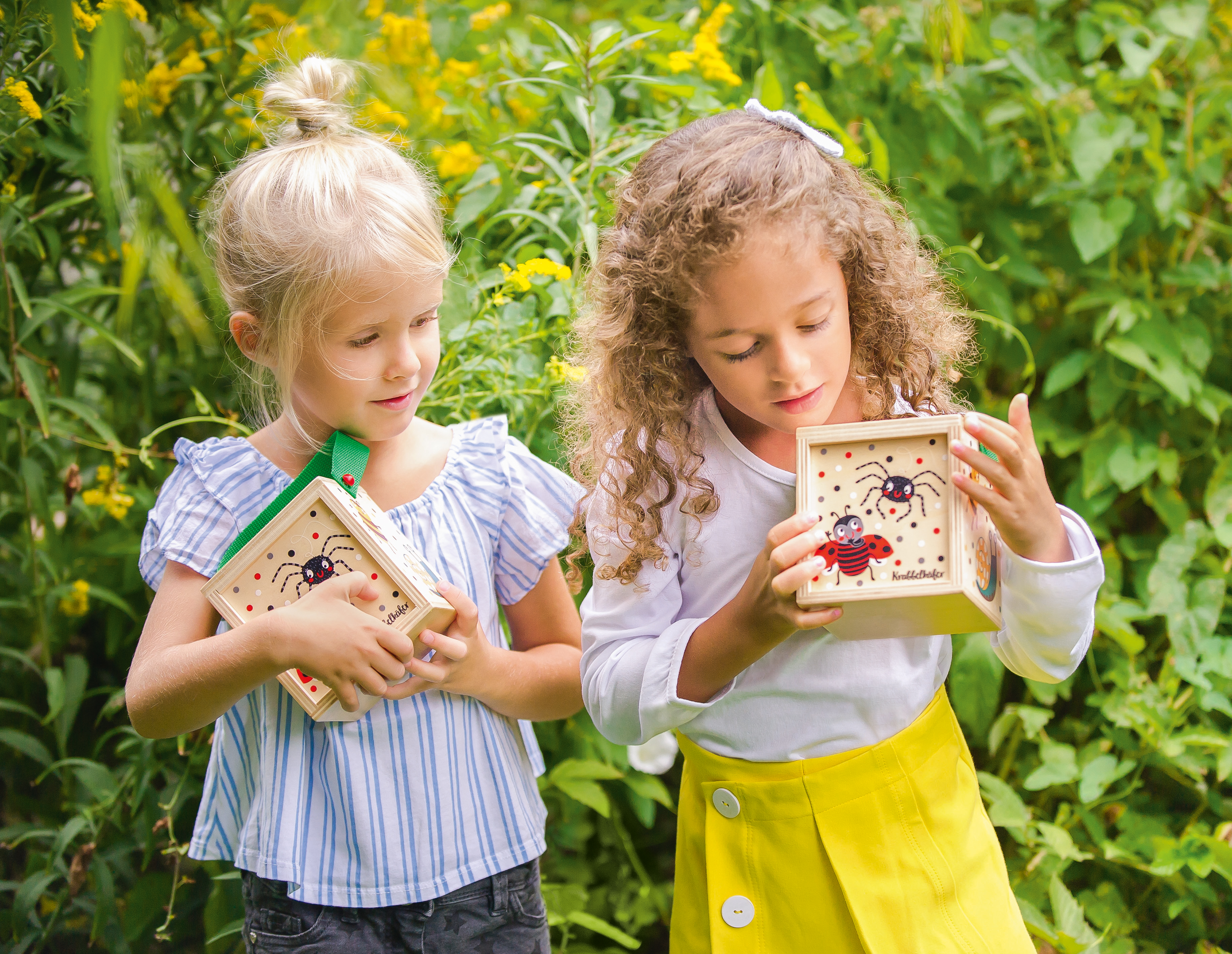 Krabbelkäfer Beobachtungsbox Krabbelkäfer Beobachtungsbox