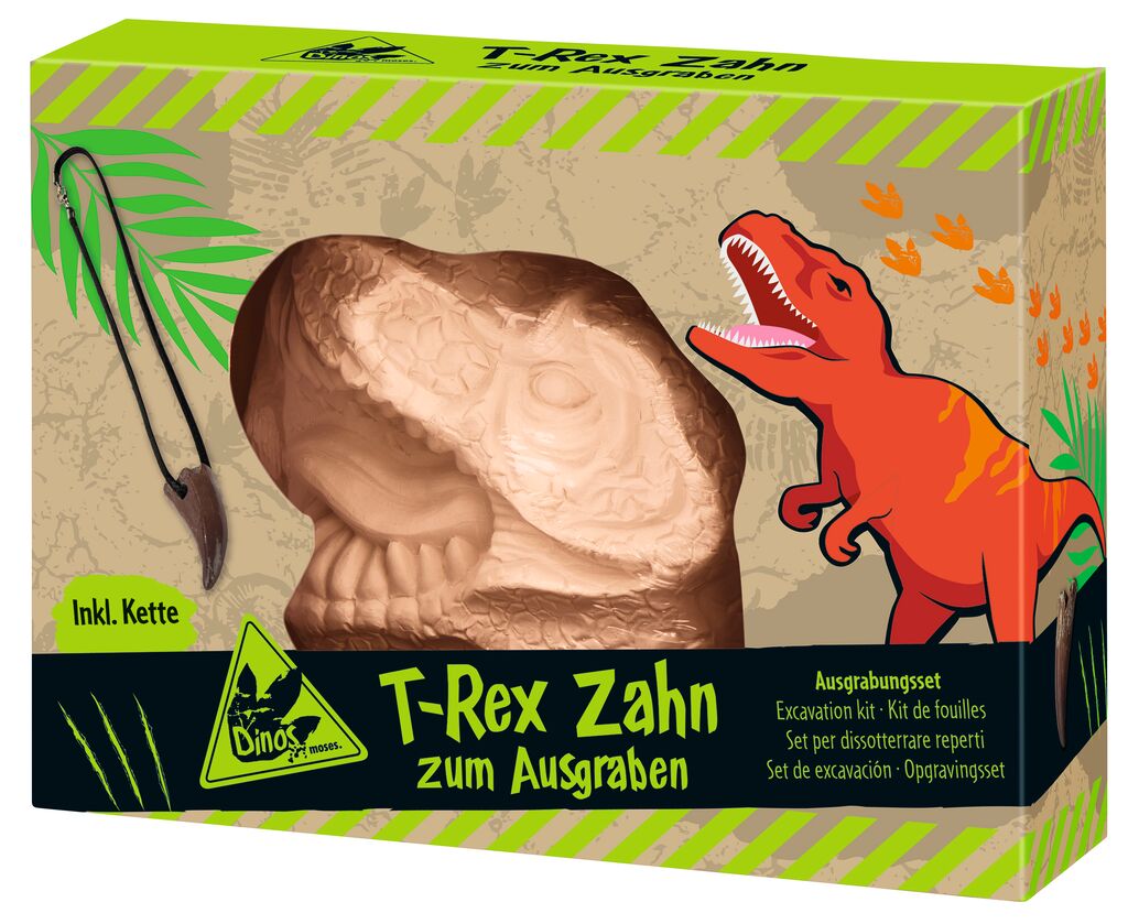 T-Rex Zahn zum Ausgraben