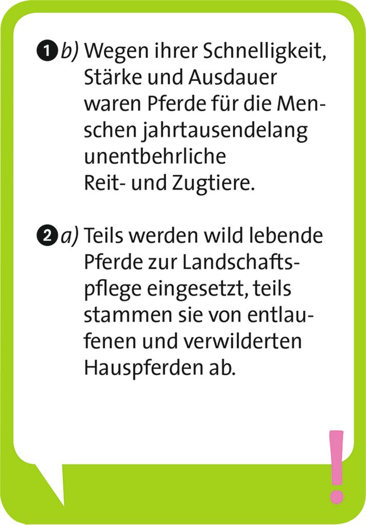Pocket Quiz junior - Pferde Pocket Quiz junior - Pferde