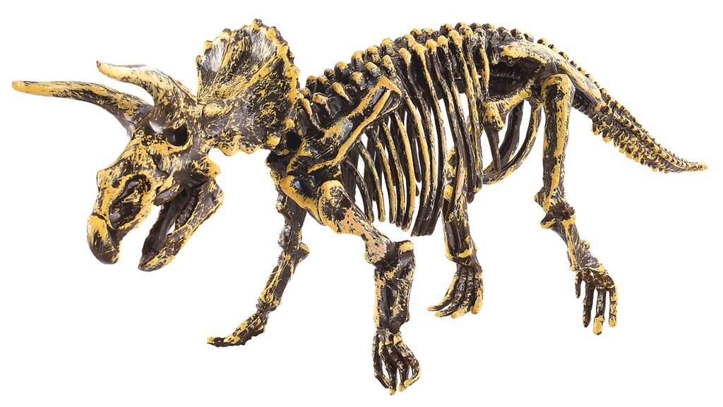 Das große Dino-Erlebnisset Triceratops Das große Dino-Erlebnisset Triceratops