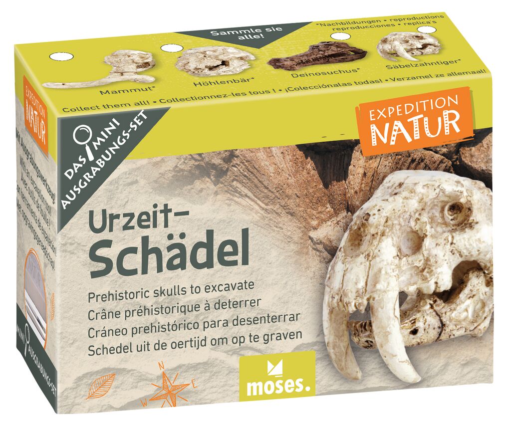 Expedition Natur Mini-Ausgrabungsset Urzeitschädel