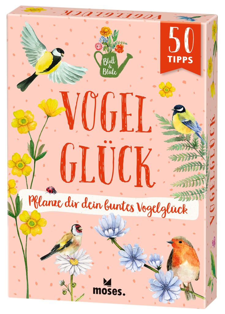 Blatt & Blüte Vogelglück Kartenset