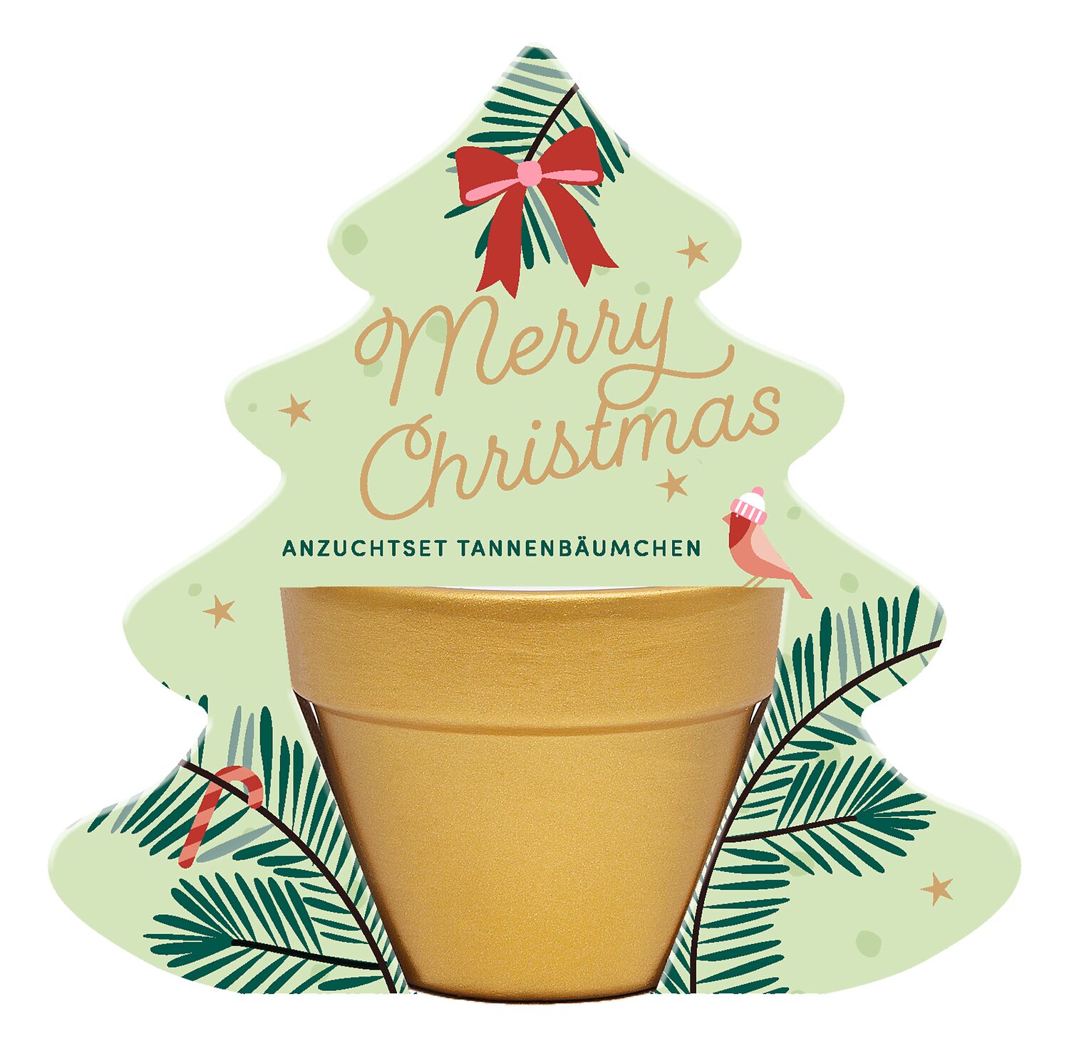 Anzuchtset Tannenbäumchen merry christmas