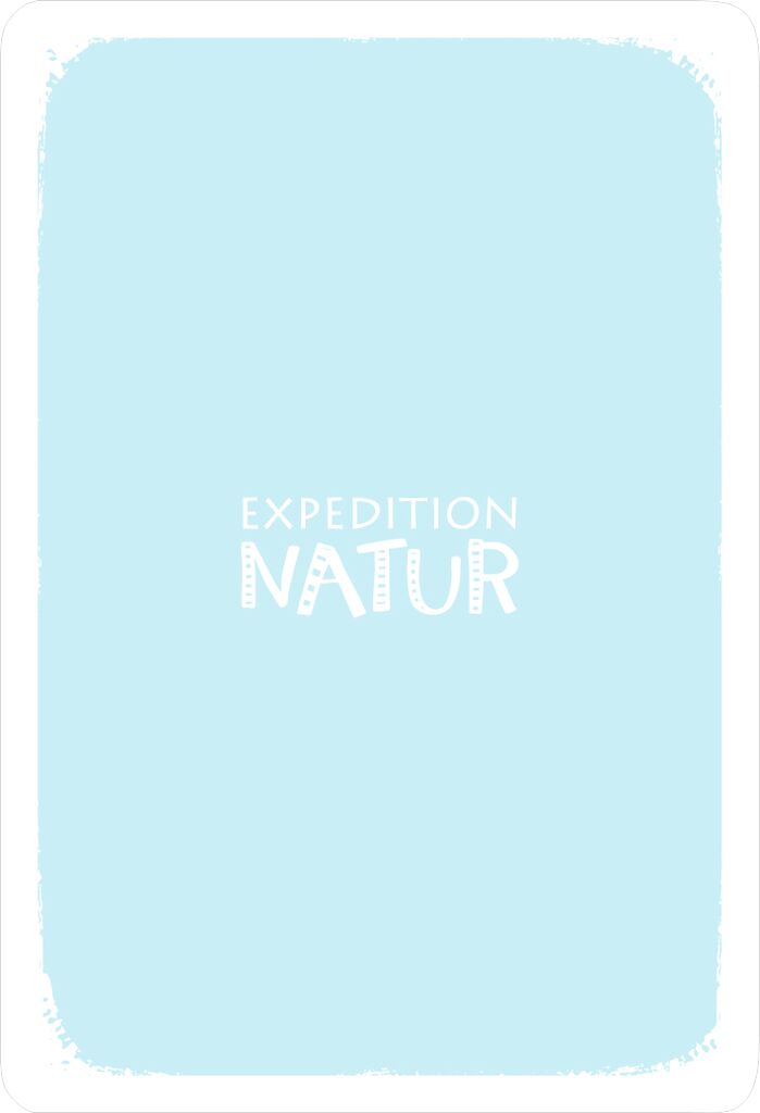 Expedition Natur Quartett Vögel