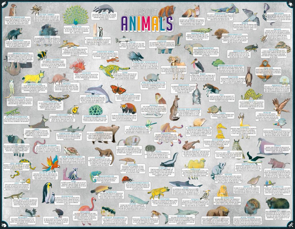 All about Animals - Das große Wissens-Schätz-Spiel