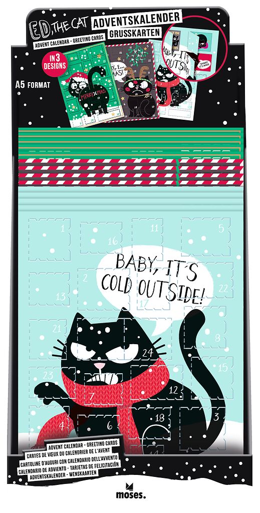 Ed, the Cat Adventskalender-Grußkarte Xmas hellblau