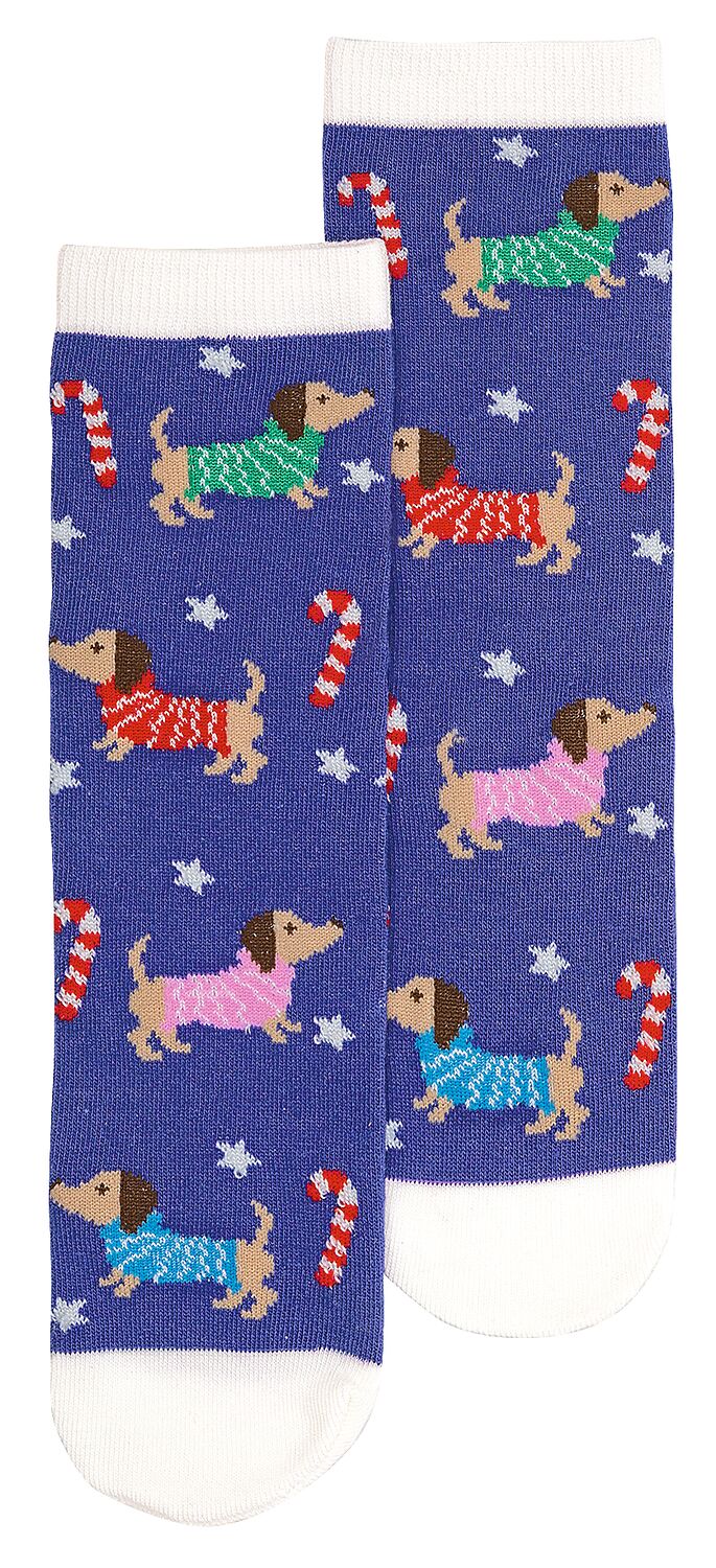 Nachtleuchtende Zauber-Socken Dackel