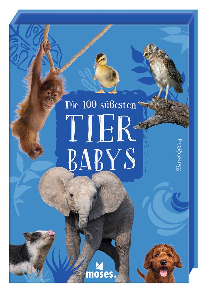 Die 100 süßesten Tierbabys