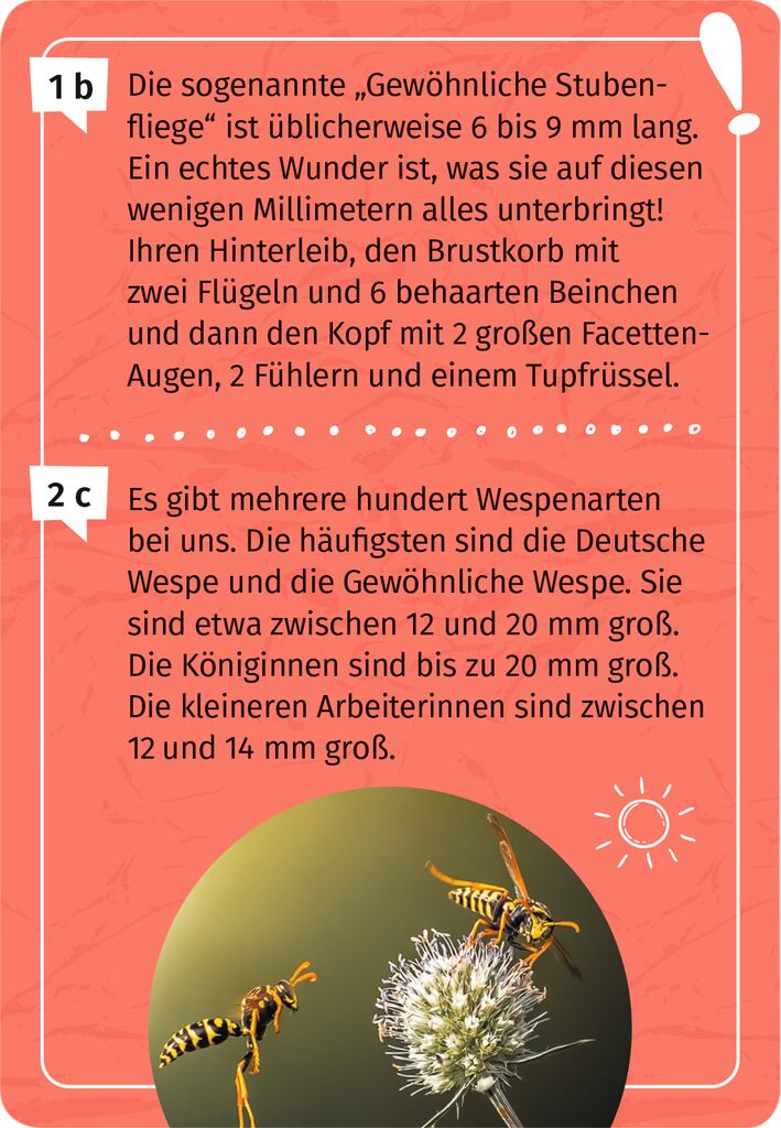 Expedition Natur Mein Becherlupen-Forscherquiz Expedition Natur Mein Becherlupen-Forscherquiz