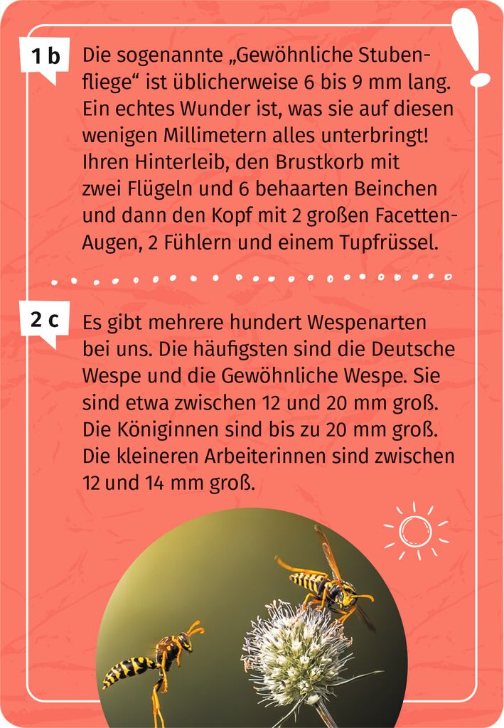 Expedition Natur Mein Becherlupen-Forscherquiz