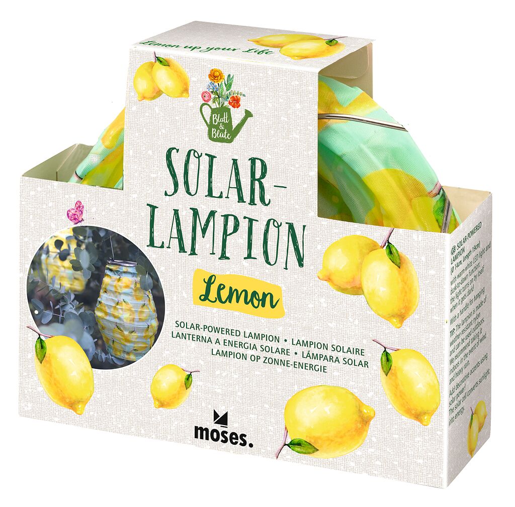 Blatt & Blüte Solar-Lampion Lemon