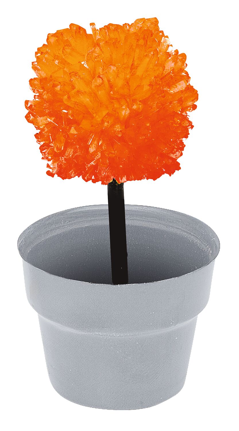 PhänoMINT Fantastische Kristalle orange