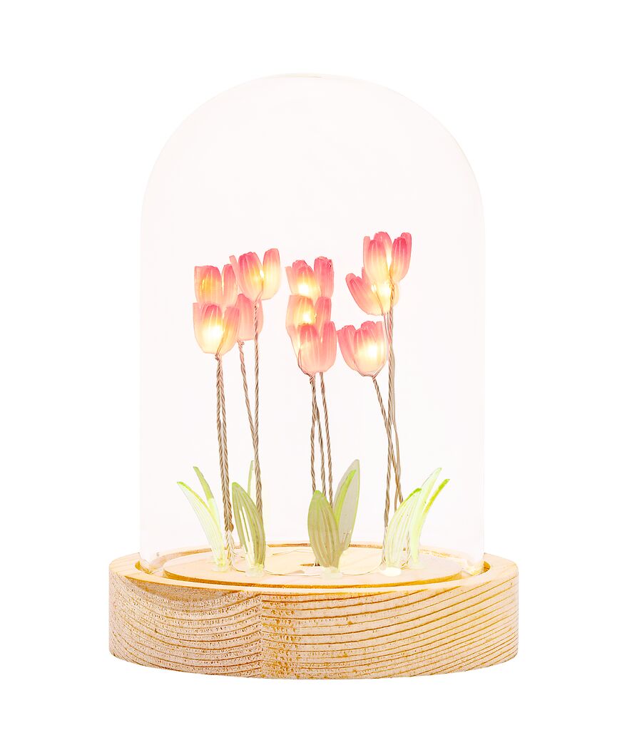 Lichterkuppel Tulpenfeld