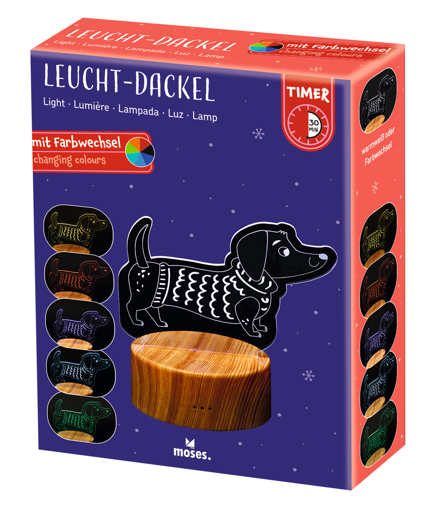 LED-Tier Winterzauber Hund