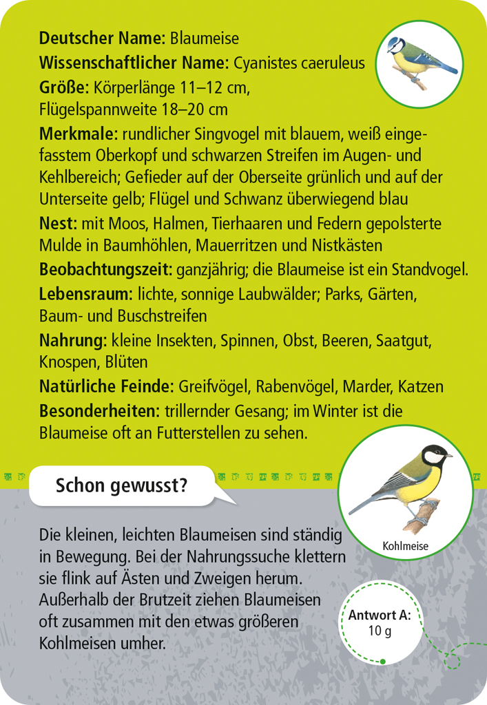 Expedition Natur - 50 heimische Tiere in Stadt & Garten
