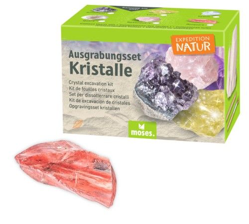 Moses expedition kit de démarrage à feu naturel acier pour extérieur et survie d